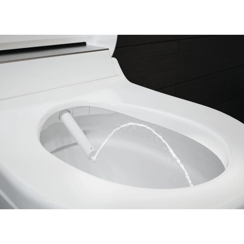 Závěsné WC AquaClean Tuma Comfort, bílá/nerez kartáčovaná, se sedátkem, sprchovací, Geberit 146.290.FW.1