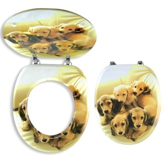 WC sedátko s poklopem, s motivem, Novaservis WC/STENATA