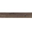 Dlažba Legend Brown 20x120 cm Rett.