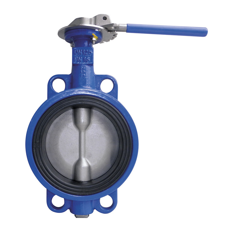 Klapka uzavírací CEREX300-W DN 125 disk litina/páka ocel