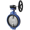 Klapka uzavírací CEREX300 W převod DN 100,disk nerez CF8M, PN16