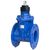Šoupátko VAG EKO®plus DN 100 PN16, přírubové, F4 (řada 14), 3-28-00904-100