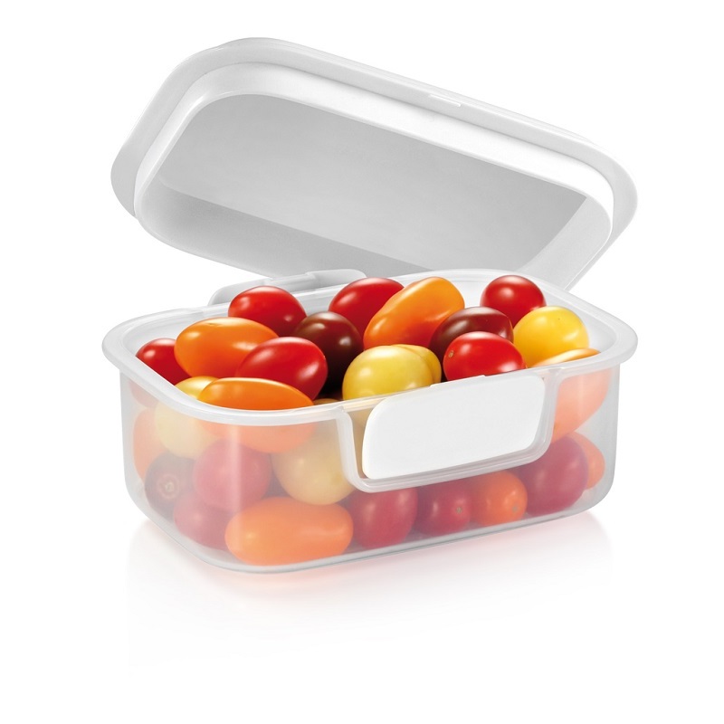 Dóza Tescoma, FreshZONE 17×13 cm, 891752