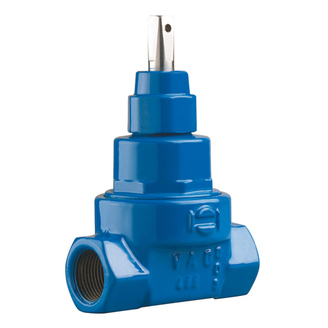 Šoupátko BETA-Z DN25 G1 závit FF