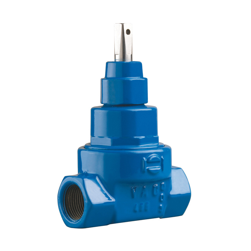 Šoupátko BETA-Z DN25 G1 závit FF